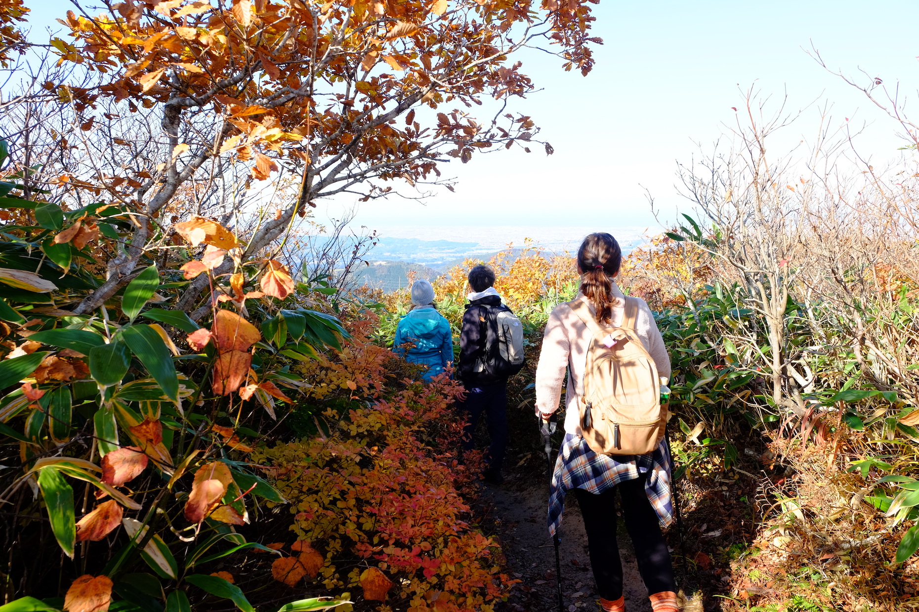 Tour group on trekking path