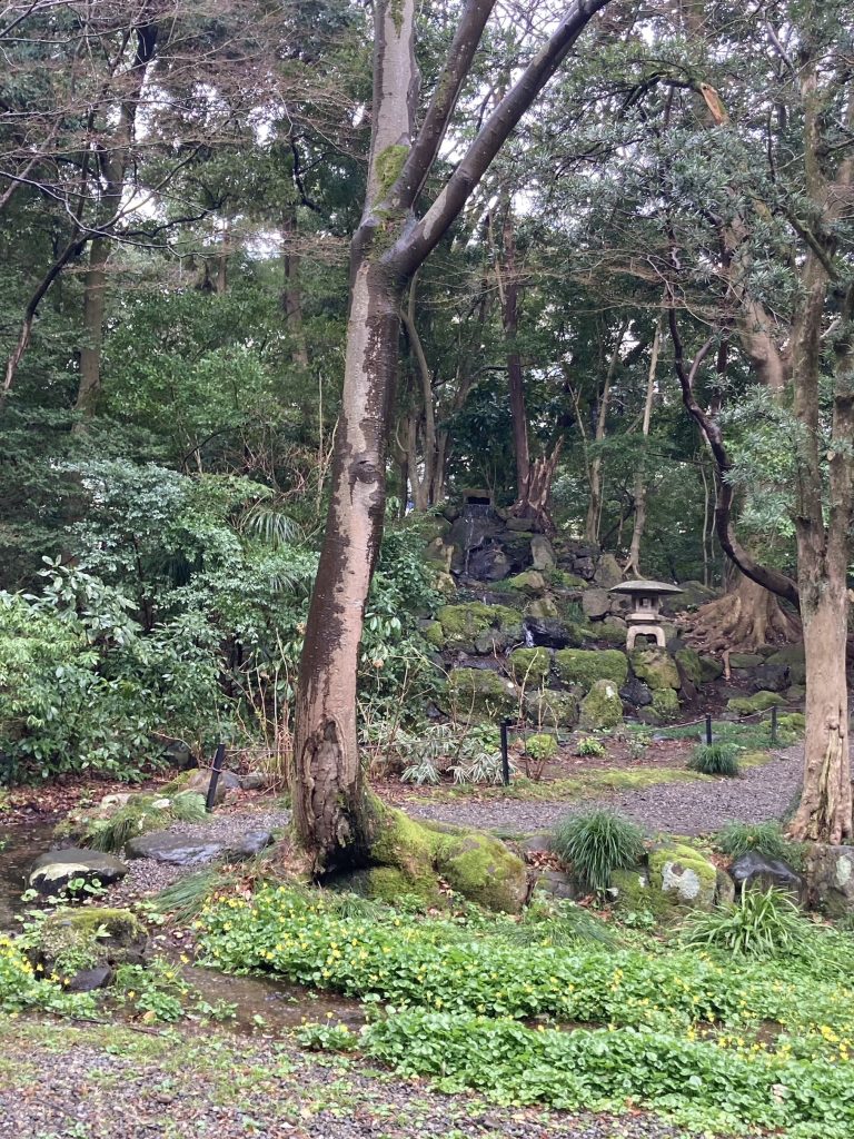 Forest Bathing in the city