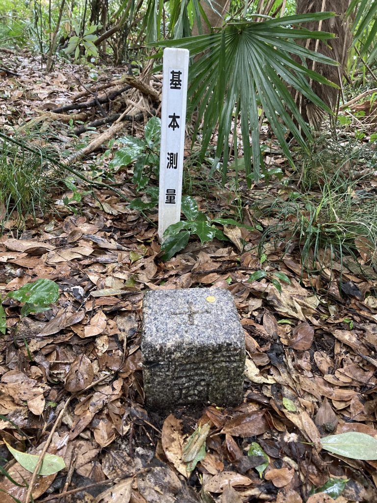 Forest Bathing and ancient border stone