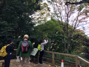 Forest bathing city viewpoint