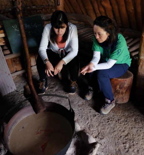 Tour group discovering prehistoric site