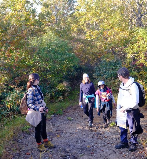 Tour group on trekking path